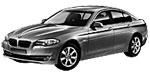 BMW F10 P3632 Fault Code